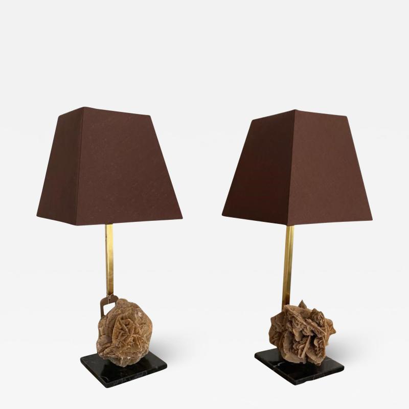 Pair of French Mid Century Desert Rose Table Lamps