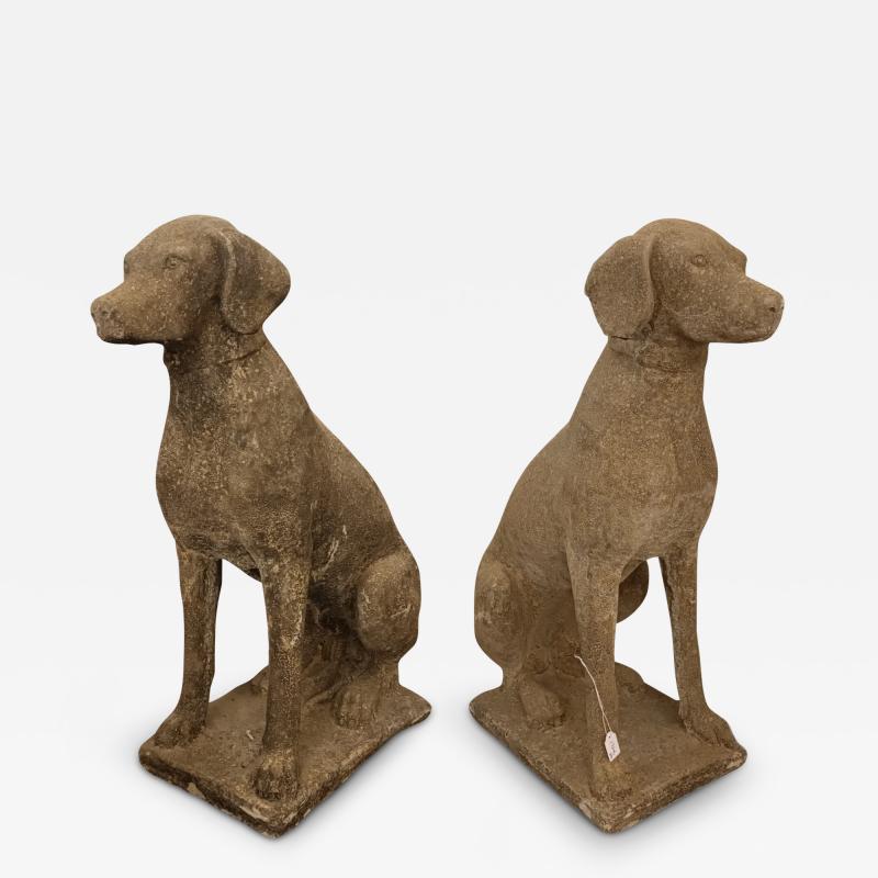 Pair of Labrador Retrievers on Stone