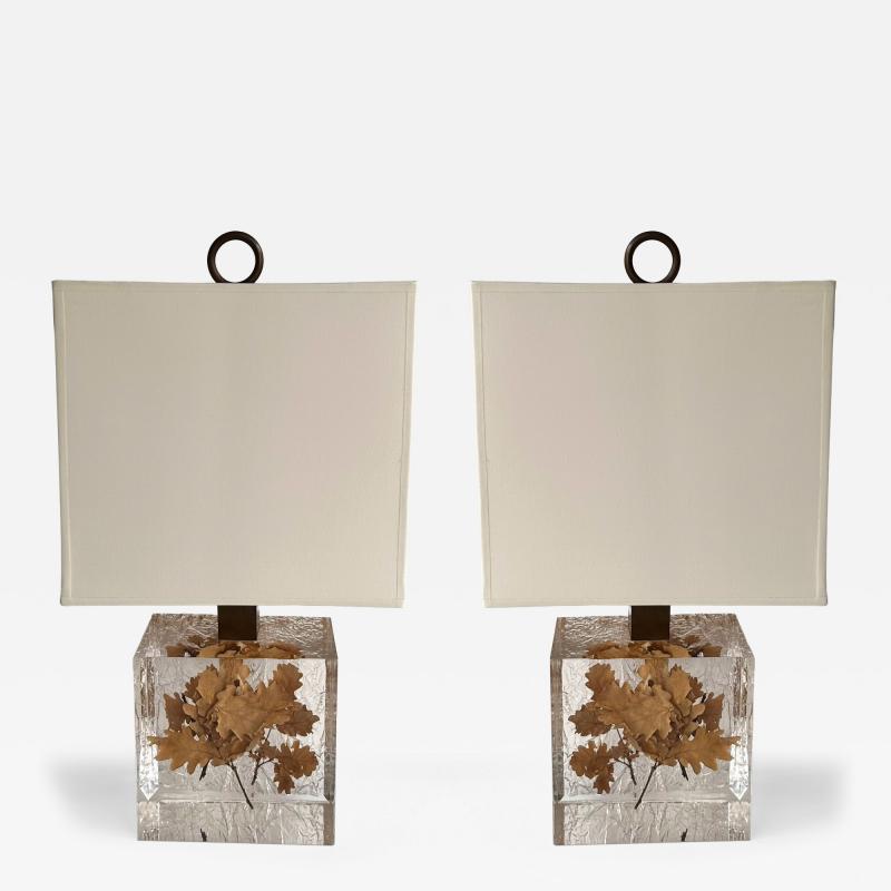 Pair of Lamps Fractal Resin Inclusion Leaves and Brass France 1970s