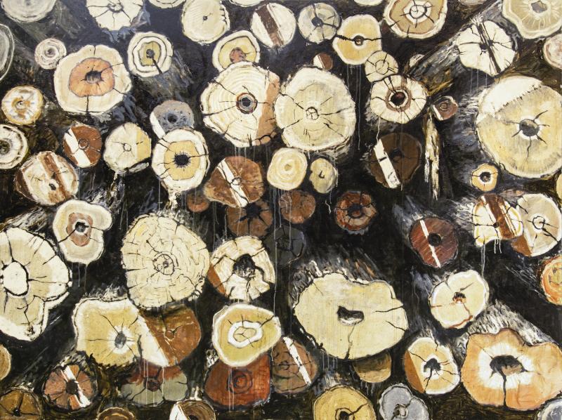 Paul Manes Untitled Logs