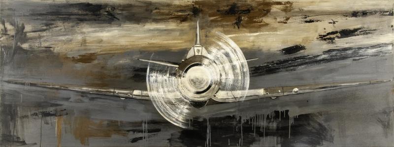 Paul Manes Untitled Plane