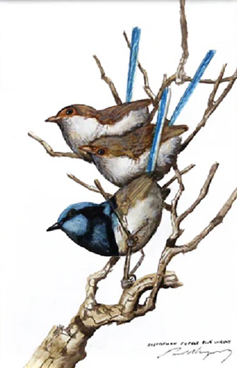 Paul Margocsy Every Now And A Wren