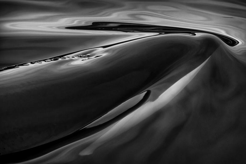 Paul Nicklen KILLER TENSION 4 10 