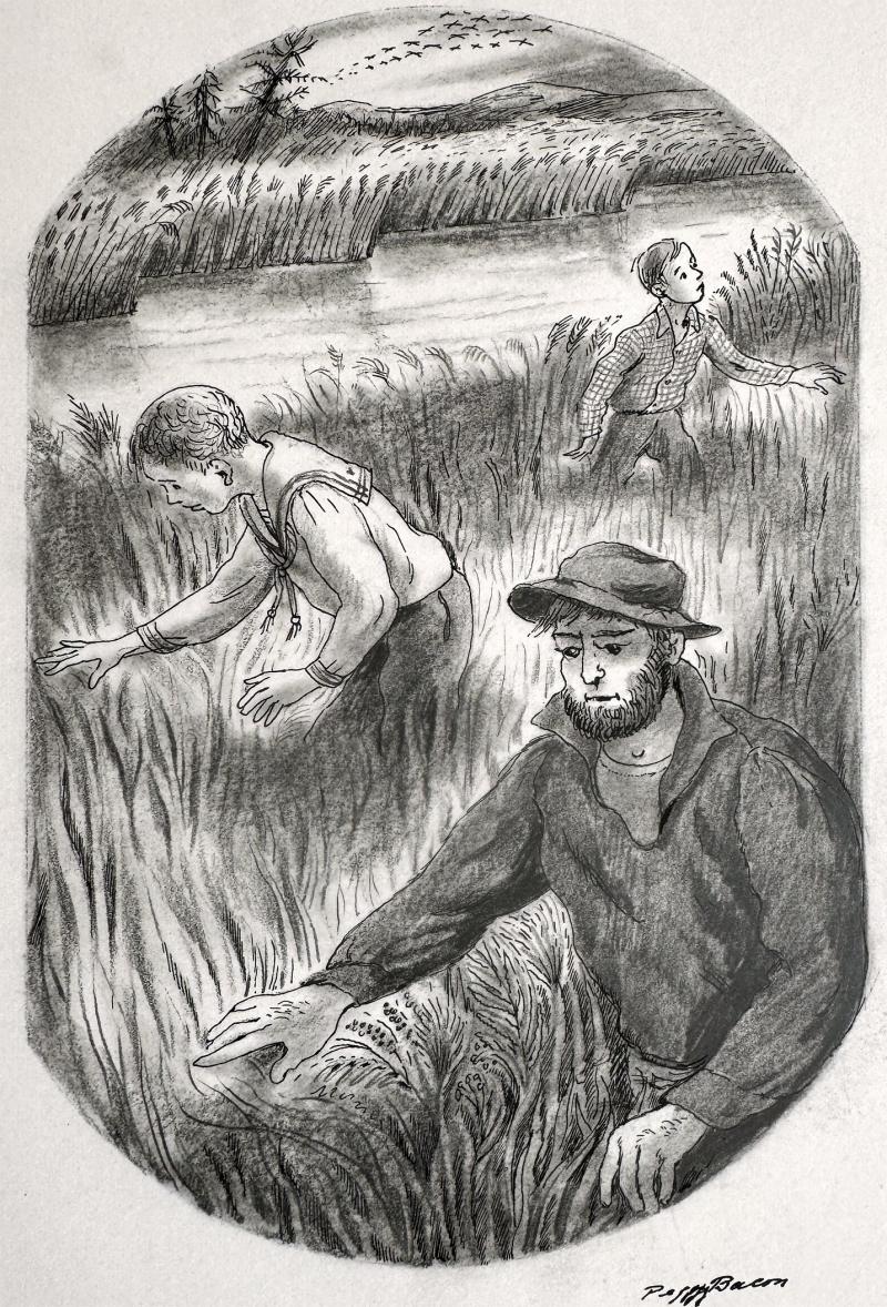 Peggy Margaret Frances Bacon Searching in the Tall Grass Book Illustration by Woman Illustrator Americana