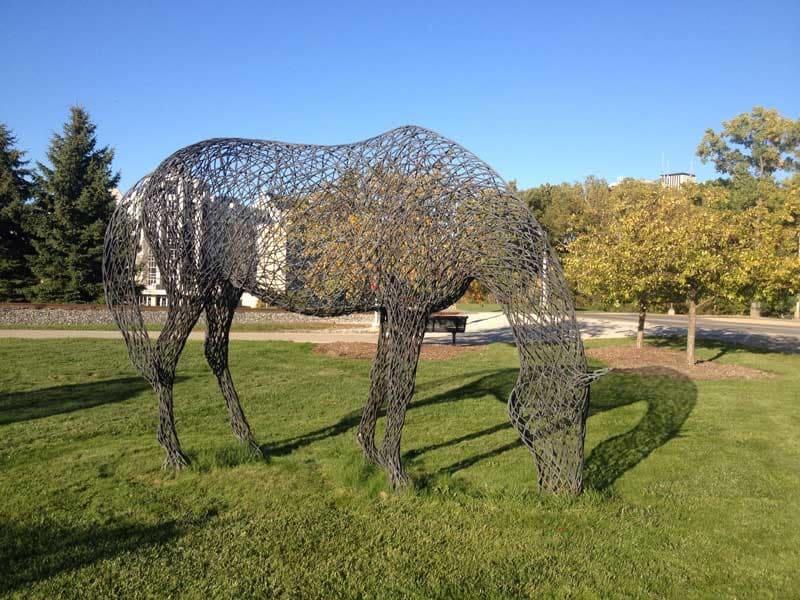 Peter Busby GRAZING HORSE 2018