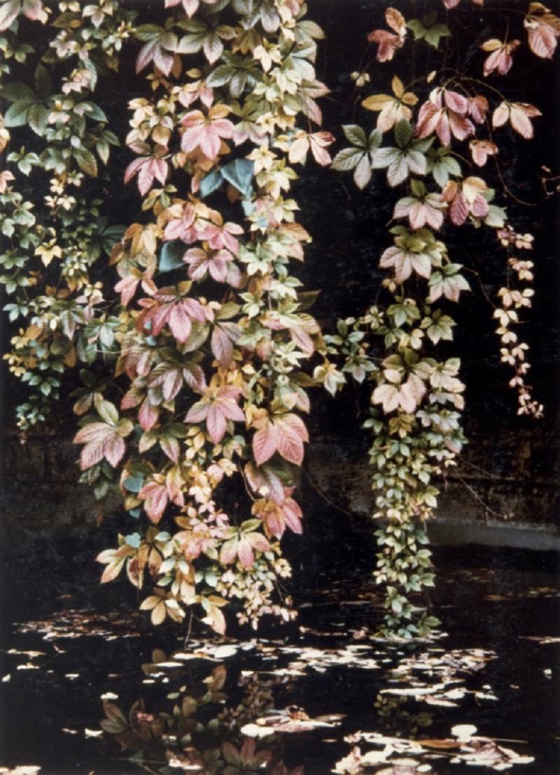 Peter Cornelius Autumnal Fall