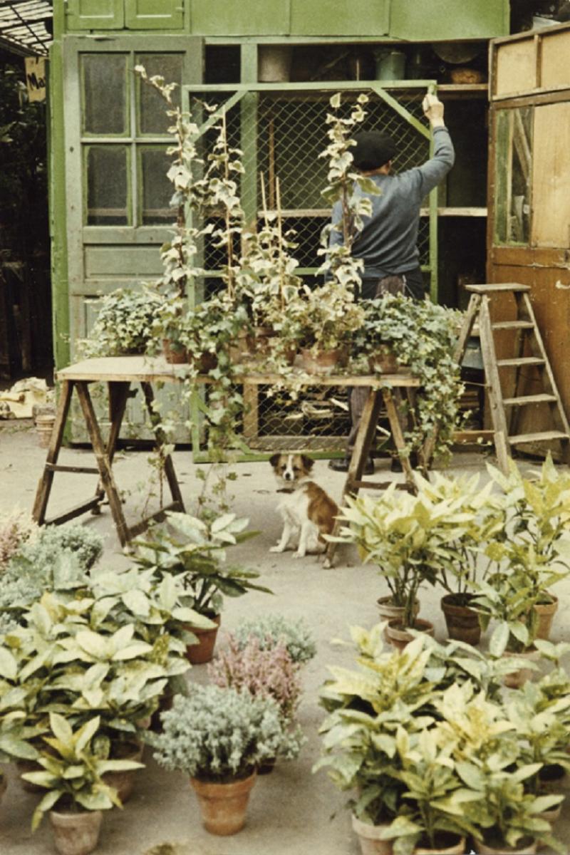 Peter Cornelius Paris Flower Market