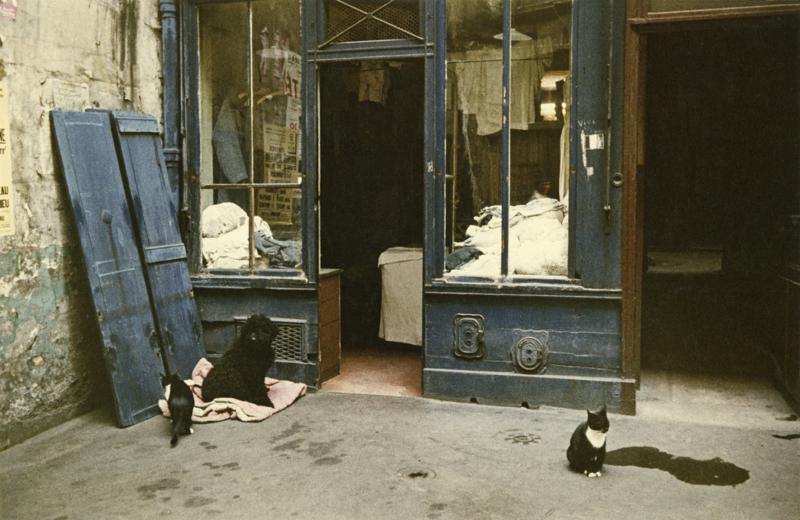 Peter Cornelius Parisian Blue