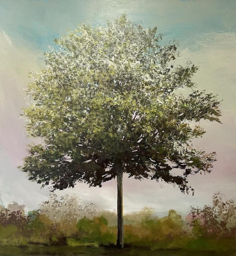 Peter Hoffer Elderberry