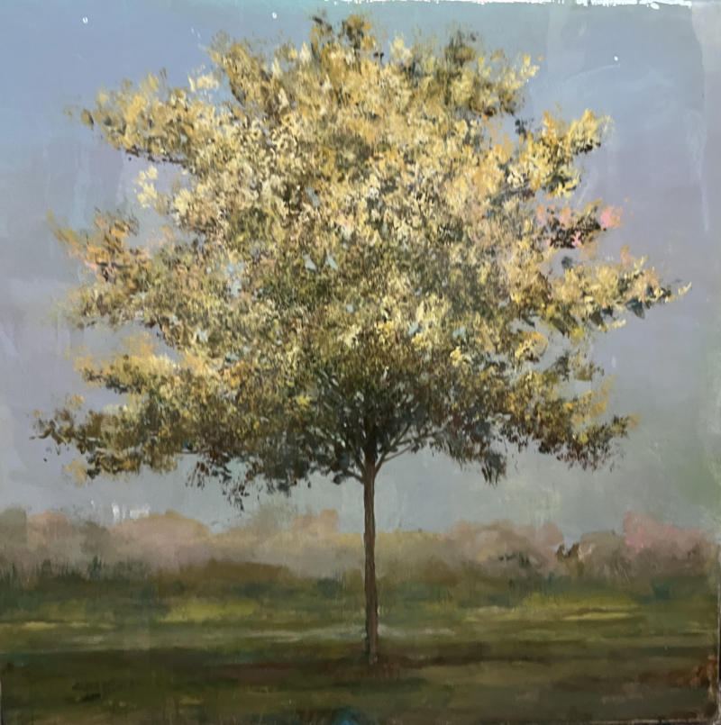 Peter Hoffer Young Aspen