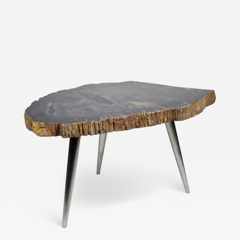 Petrified Wood Side Table with Stainless Steel Feet Organic Modern IDN 2021