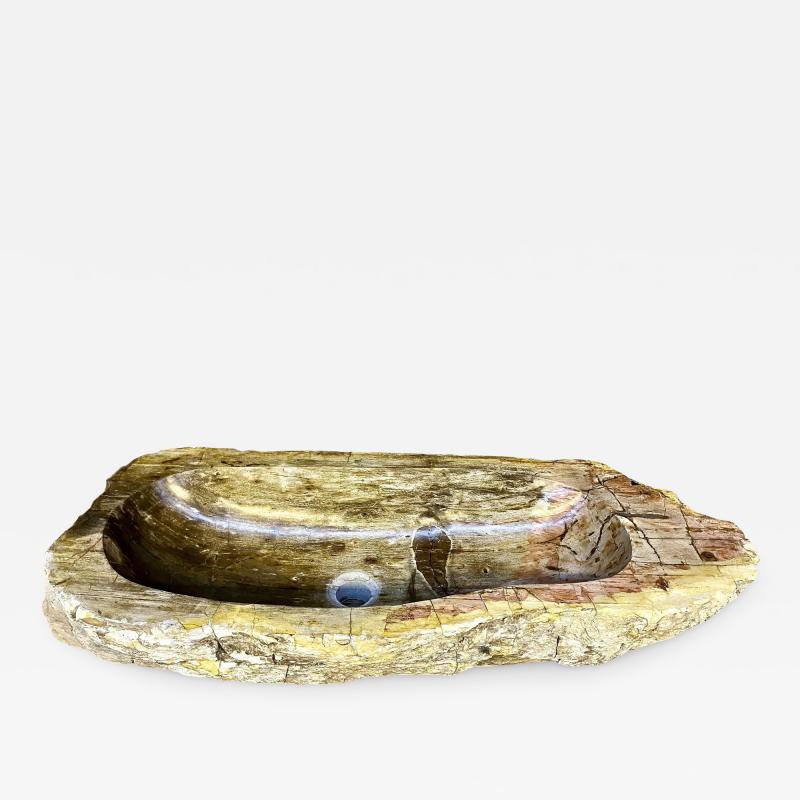 Petrified Wood Sink Beige Yellow Brown Tones Organic Modern Top Quality