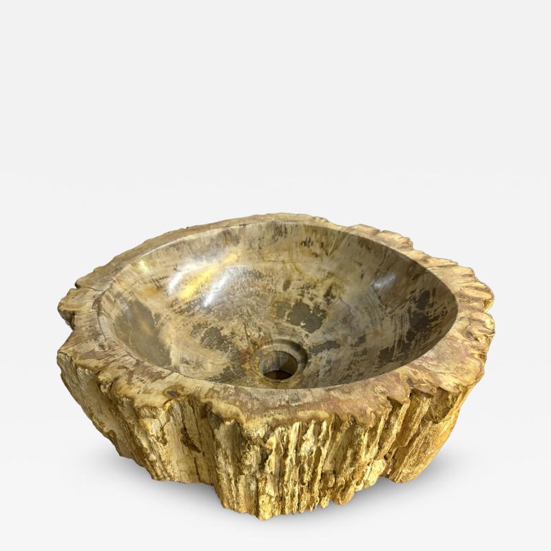 Petrified Wood Sink Modern Organic Grey Brown Beige polished IDN 2025