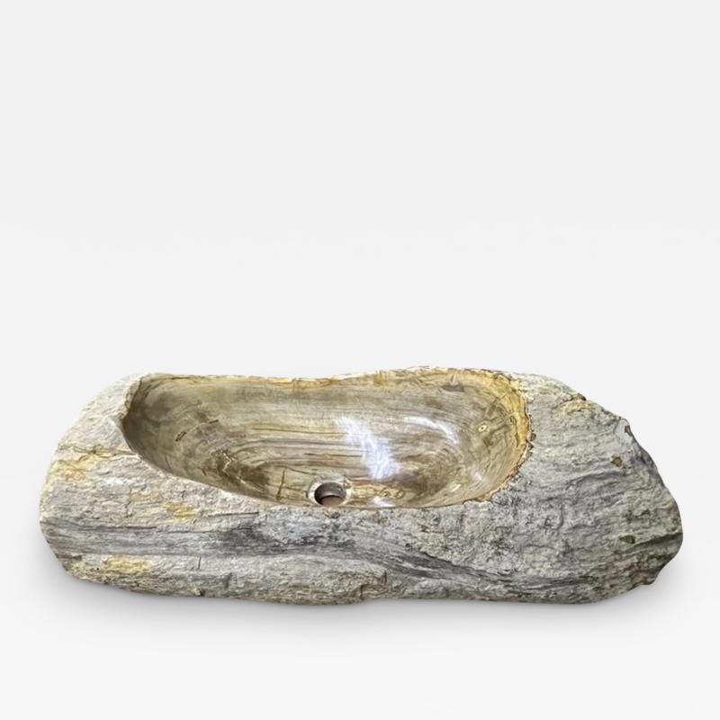 Petrified Wood Sink Organic Modern in Grey Beige Brown Tones Top Quality