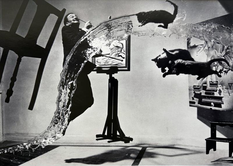 Philippe Halsman Editioned Dali Photograph Atomicus by Philippe Halsman