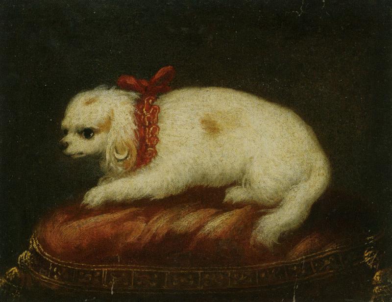 Pierfrancesco Cittadini A Portrait of a Maltese Sitting on a Cushion