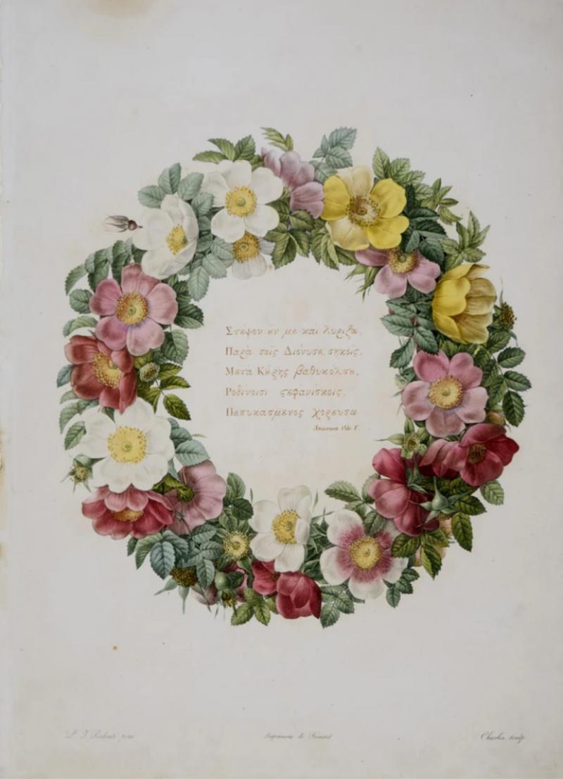 Pierre Joseph Redout PIERRE JOSEPH REDOUT 1759 1840 FRONTISPIECE TO LES ROSES