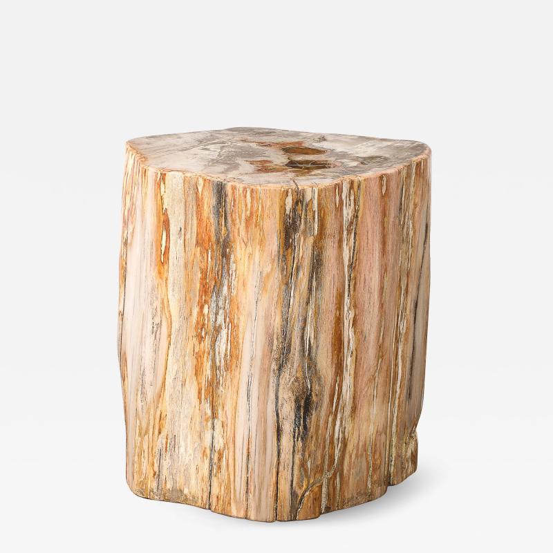 Polished Petrified Wood Side Table Stool w Agate Inclusions Natural Graining