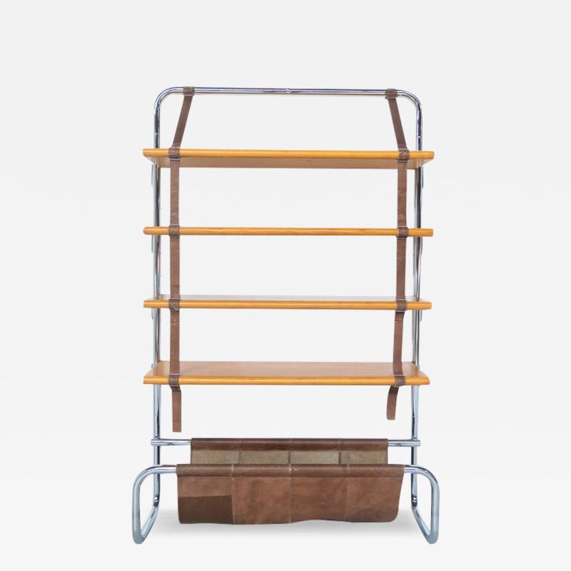 Poltrona Frau Jumbo Bookcase by Luigi Massoni for Poltrona Frau