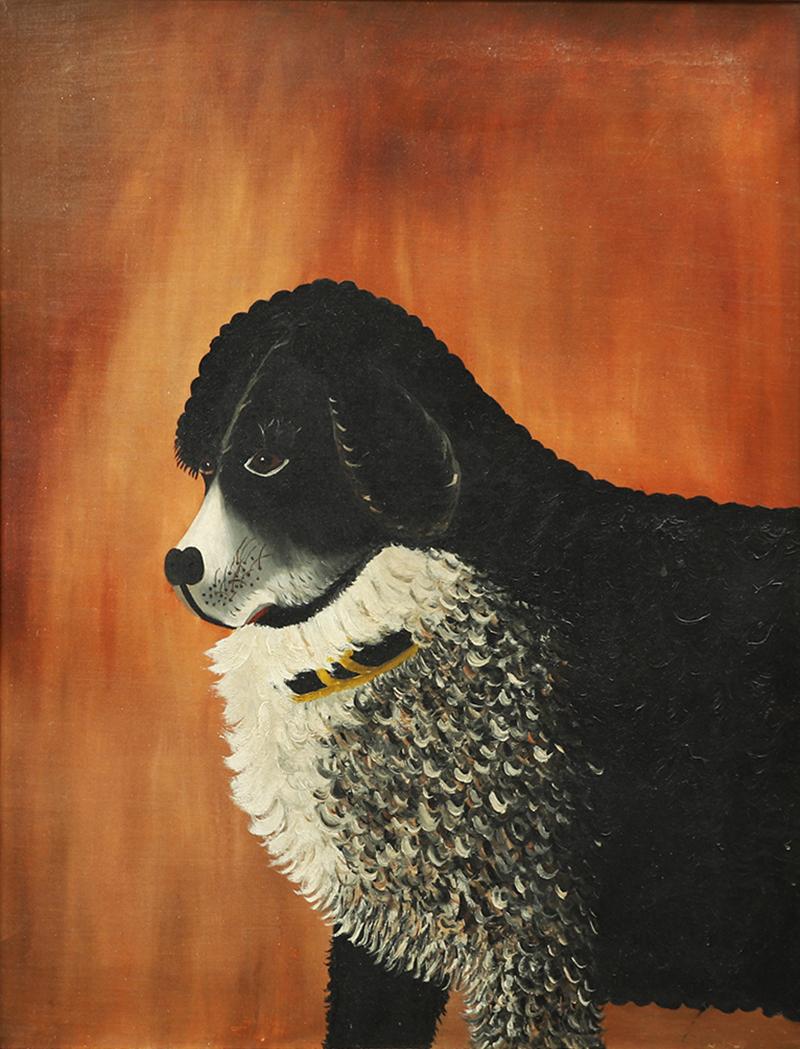 Portrait of a Curly Haired Dog