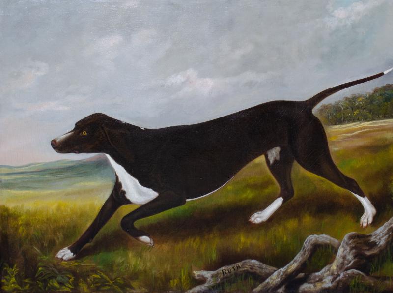 Portrait of the Sporting hound Ruth