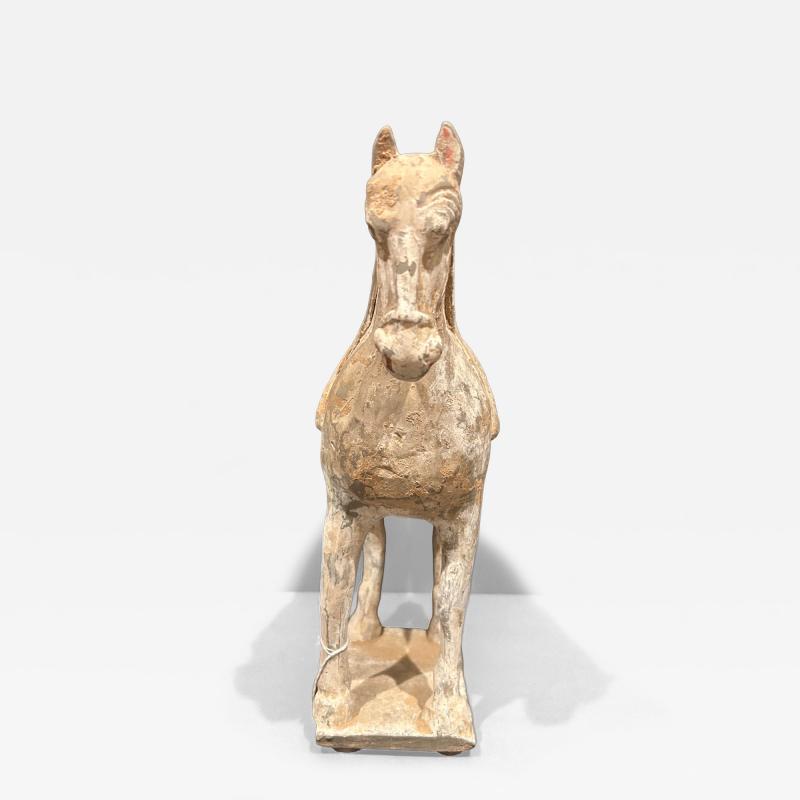 Pottery Horse Tang Dynasty 518 906 A D TL tested 