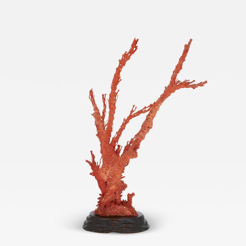 Qing dynasty antique Chinese red coral specimen