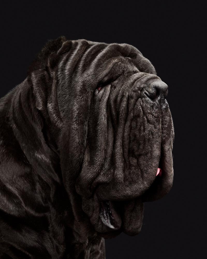 Randal Ford Barbaro No 2