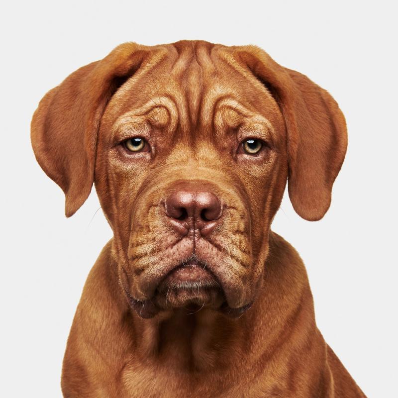 Randal Ford Slidell No 1