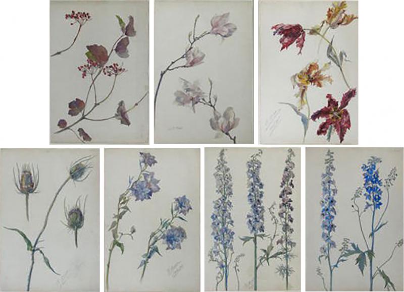 Rare Set of Floral Watercolors by Accard