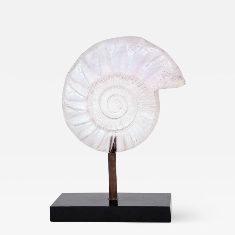 Resin ammonite sculpture