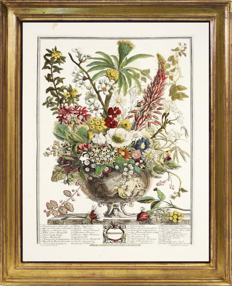 Robert Furber - Twelve Months Of Flowers