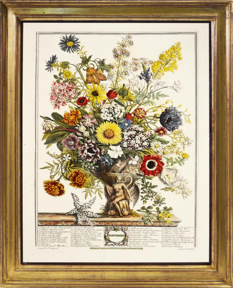 Robert Furber - Twelve Months Of Flowers