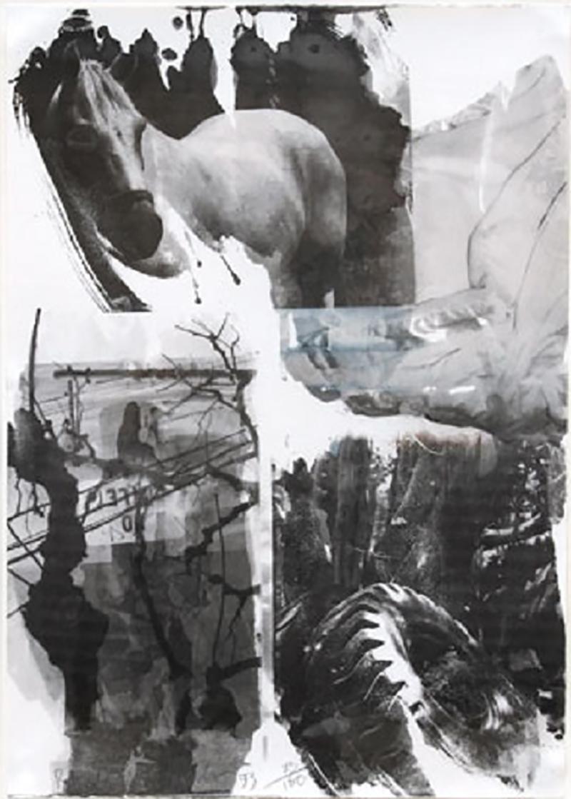 Robert Rauschenberg Horse Silk from the Night Sights Series