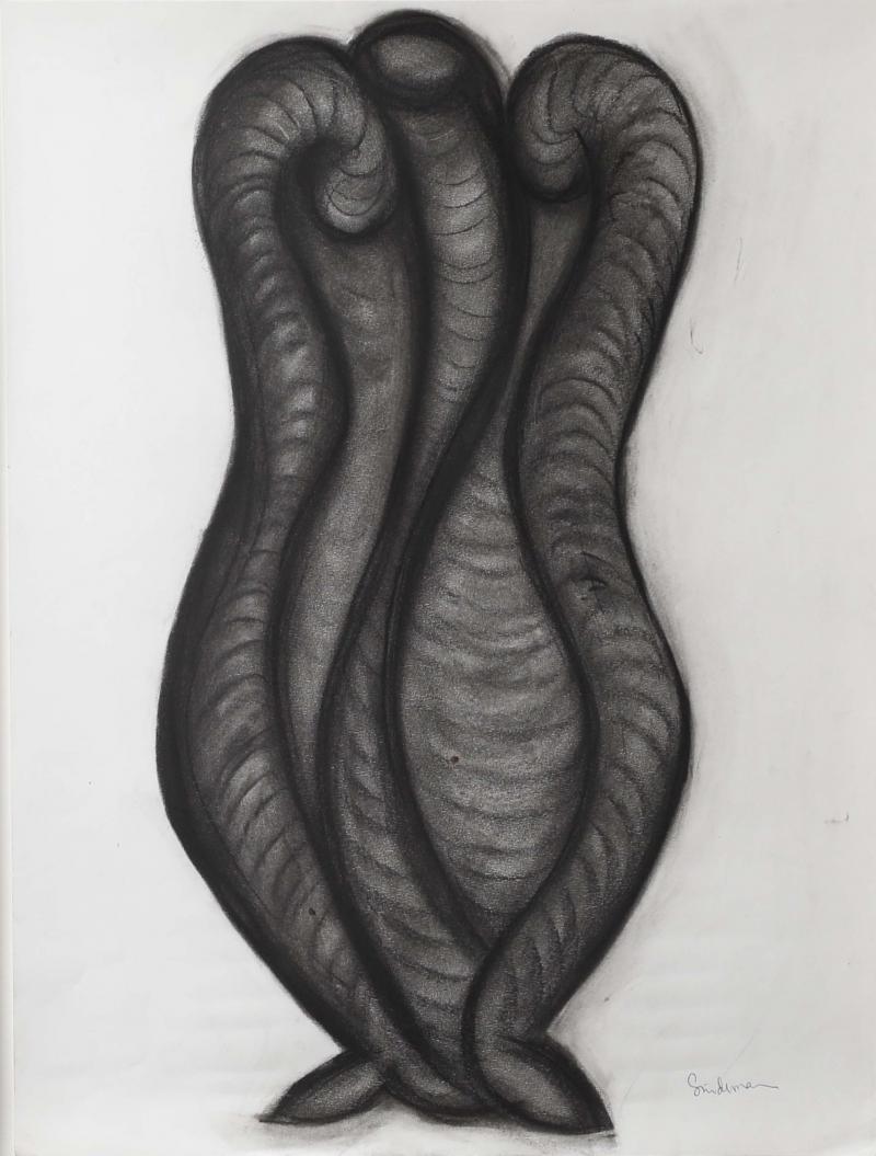 Rosanne Sniderman Charcoal Drawing V13