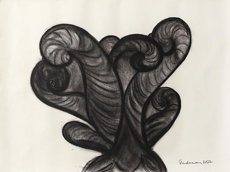 Rosanne Sniderman Charcoal Drawing V9 by Rosanne Sniderman