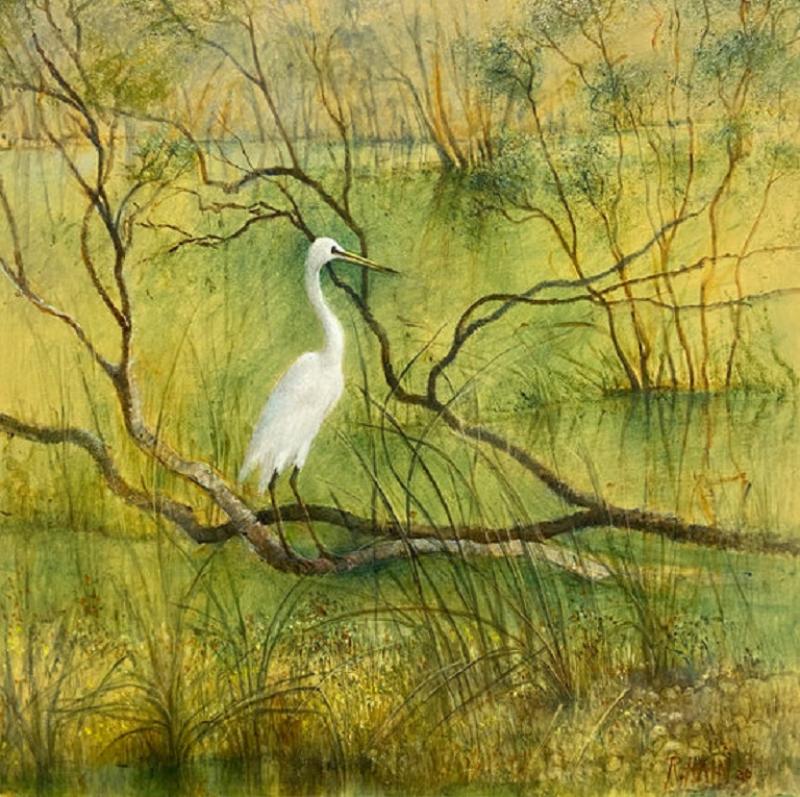 Rosemary Hain Egret in Wetlands