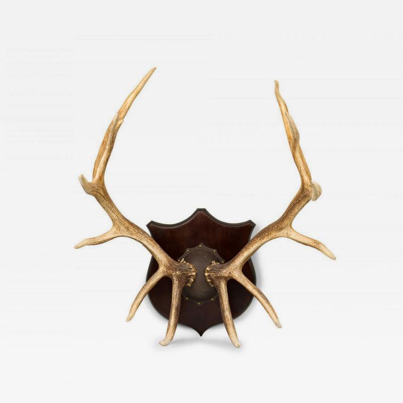 Rustic Decorative Elk Antler and Wood Wall Plaque