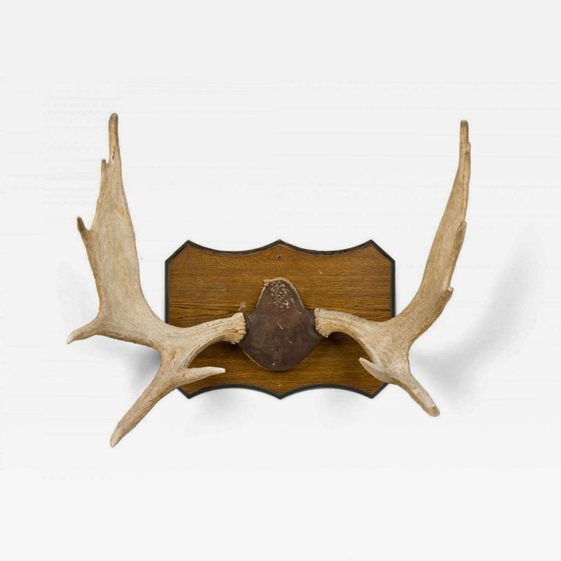 Rustic Moose Antler and Wood Wall Plaque