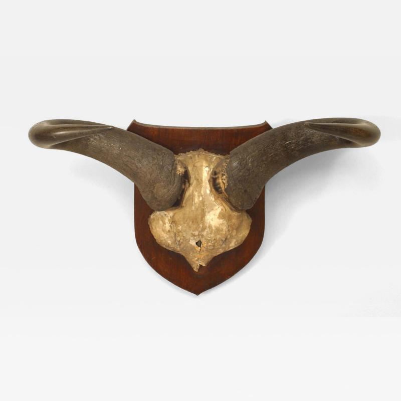 Rustic Taxidermy Water Buffalo Skull