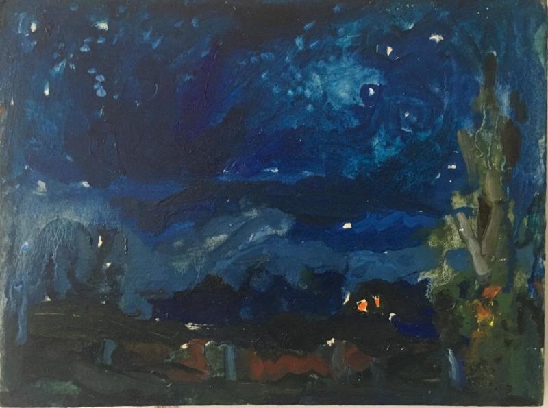 SUSANNA COFFEY The Perseids