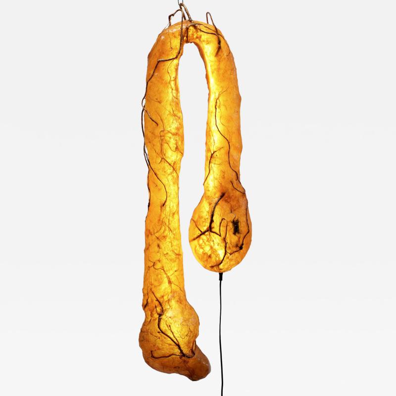 Sabrina Merayo Nu ez Worm Light Wall