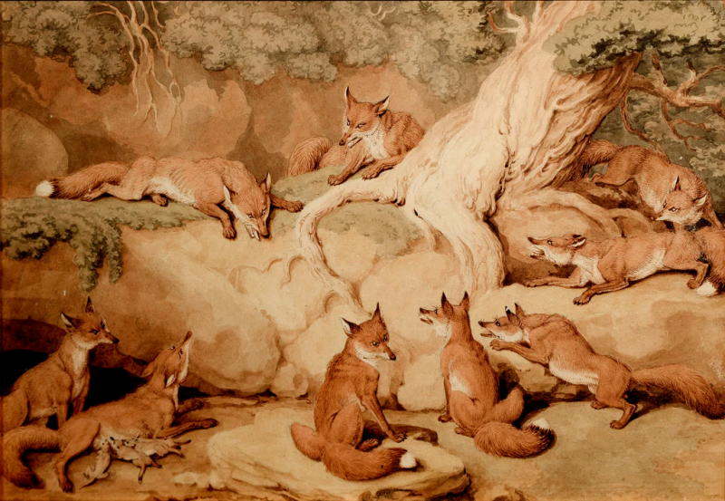 Samuel Howitt SAMUEL HOWITT BRITISH 1756 1822 THE COUNCIL OF FOXES