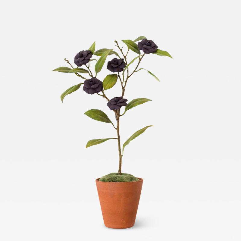 Samuel Mazy Samuel Mazy Dark Porcelain Camelia Tree Sculpture