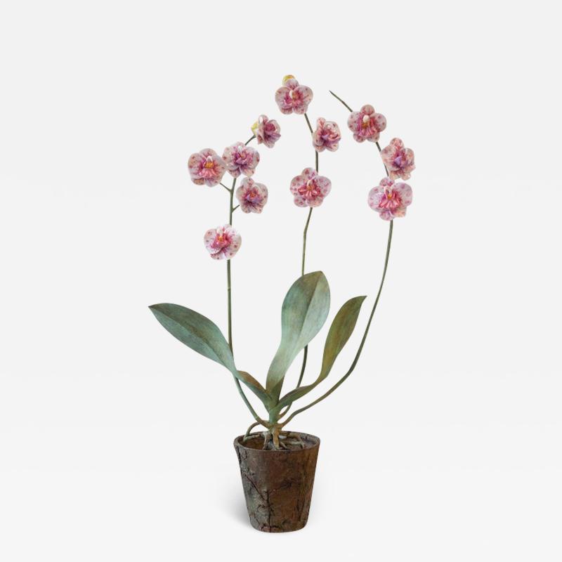 Samuel Mazy Samuel Mazy Glazed White Pink Porcelain Orchid with Bronze Faux Bois Pot