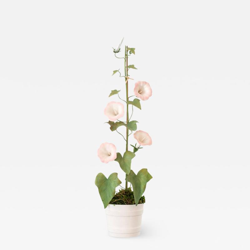 Samuel Mazy Samuel Mazy Pink Porcelain Morning Glory Sculpture