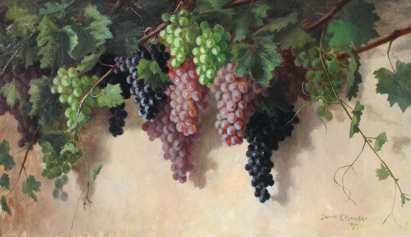 Sarah E Bender De Wolfe Grapes on the Vine