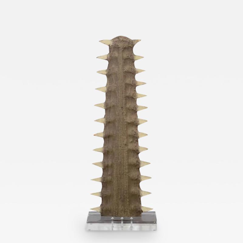 Sawtooth on Lucite display stand