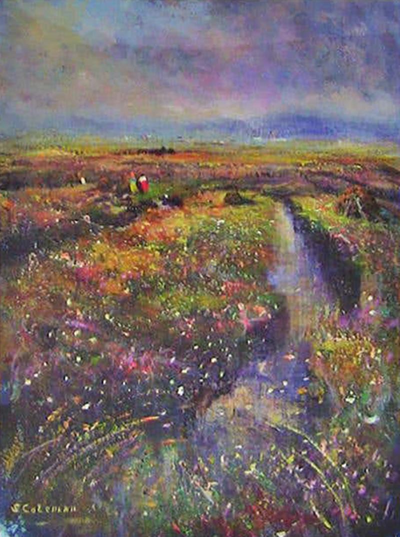 Seamus Coleman Irish Oil on Canvas of Clifden Bog by Seamus Coleman