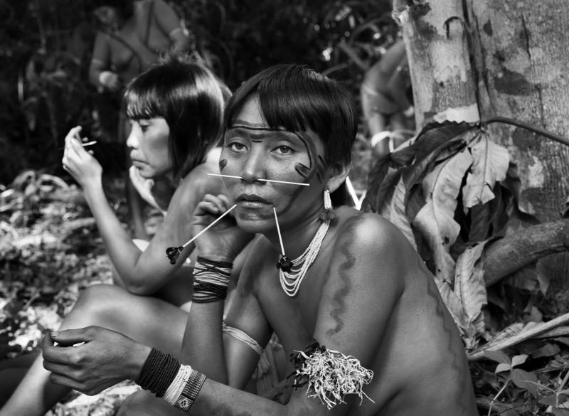 Sebasti o Salgado Demini River Region Yanomami Indigenous Territory State of Amazonas Brazil